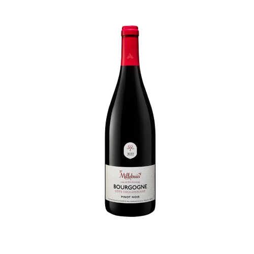 Bourgogne Côte Chalonnaise Pinot Noir 2022